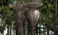 Архитектор: человечество будет жить на верхушках деревьев